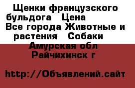 Щенки французского бульдога › Цена ­ 30 000 - Все города Животные и растения » Собаки   . Амурская обл.,Райчихинск г.